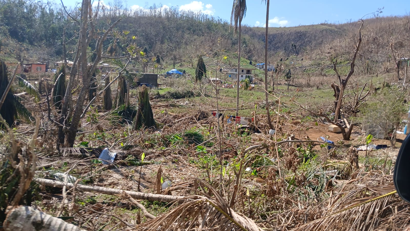 Click On Image To Donate